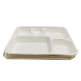De boîte biodégradable à nourriture de couleur de catégorie comestible de canne à sucre de pulpe de matériel pollution blanche non fournisseur