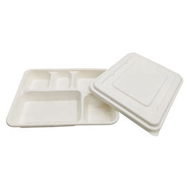 De boîte biodégradable à nourriture de couleur de catégorie comestible de canne à sucre de pulpe de matériel pollution blanche non fournisseur