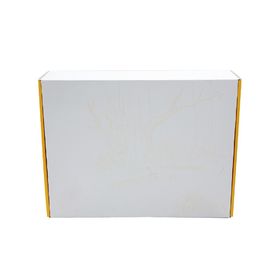 3 couches ont ridé l'OEM/ODM à la mode de poids léger de boîte de carton disponibles fournisseur