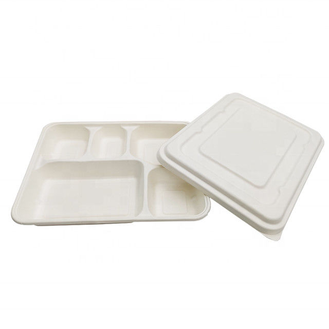 De boîte biodégradable à nourriture de couleur de catégorie comestible de canne à sucre de pulpe de matériel pollution blanche non fournisseur